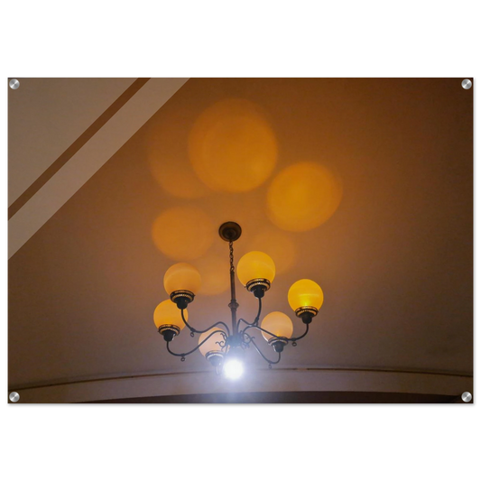 bbb2f5f3-c704-4329-a578-72221ef6506f